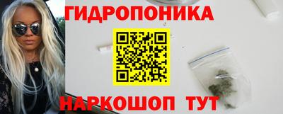 молекула духа Будённовск