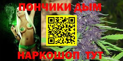 молекула духа Будённовск