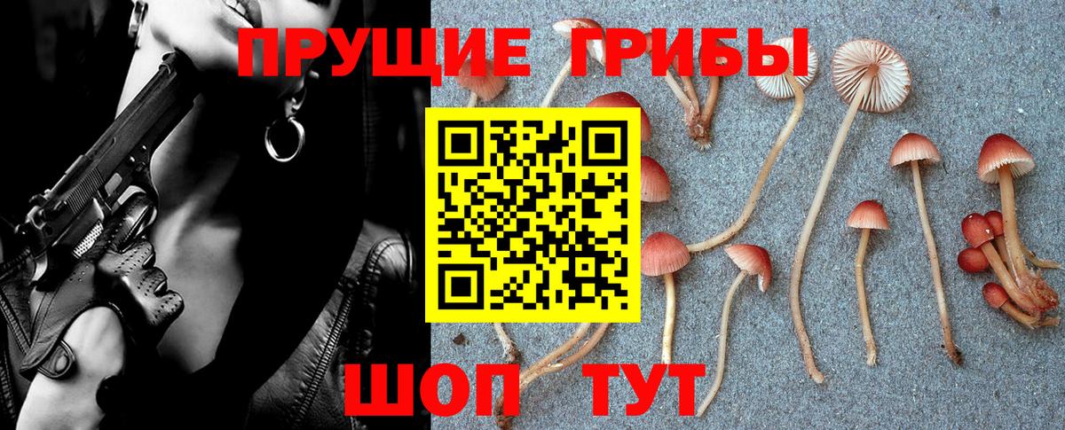 Псилоцибиновые грибы MAGIC MUSHROOMS  Вход с VPN  сколько стоит  Ревда  Галлюциногенные грибы Cubensis 