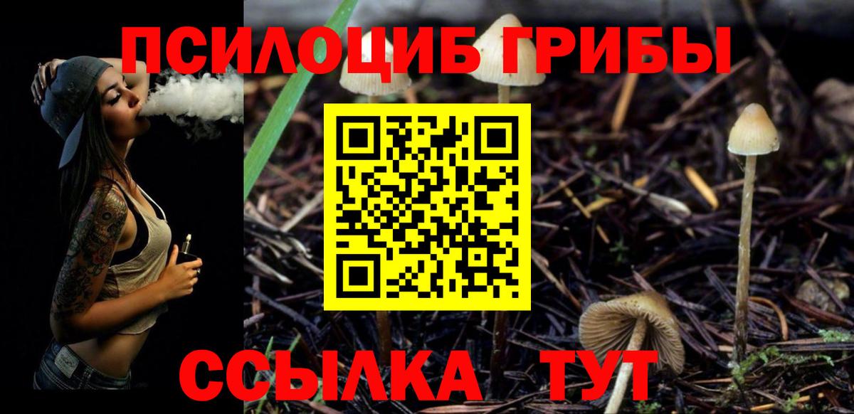 Псилоцибиновые грибы Psilocybine cubensis Ревда